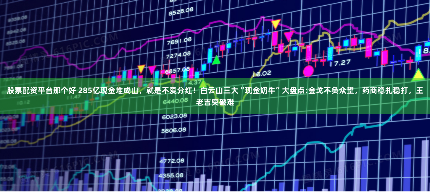 股票配资平台那个好 285亿现金堆成山，就是不爱分红！白云山三大“现金奶牛”大盘点:金戈不负众望，药商稳扎稳打，王老吉突破难